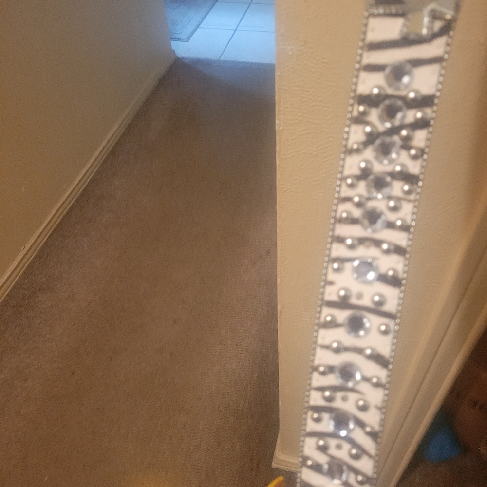 Belt